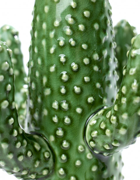 Cactus Ornamental Vase